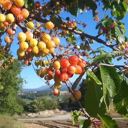 Nyaraló La Magnanerie